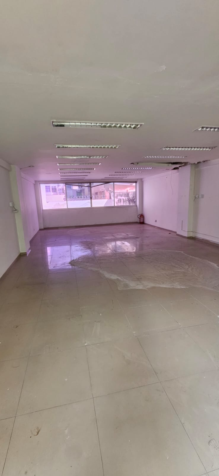 Prédio Comercial de Alto Padrão - Botafogo, RJ - imagem 7